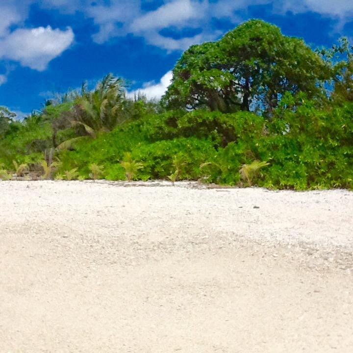 Fare Maeva Moorea Hotel Teavaro Стая снимка